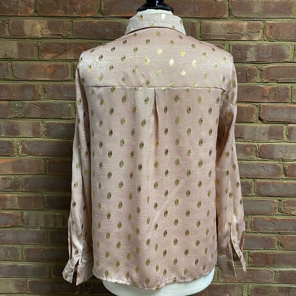 Blush & Gold Shimmer Design Sheer Long Sleeve Button Down Blouse - Picture 3 of 6
